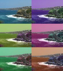 Hueshift six coogee