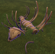 Fossils crop