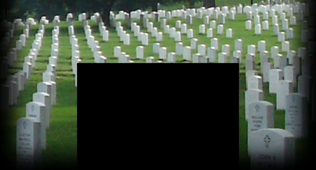 File:Wiki-background did.png