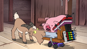 S2e6 gompers chew.png