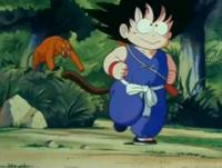Gokucatchase