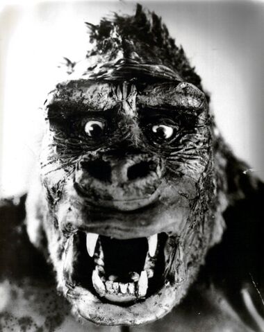 File:Kong the ape.jpg