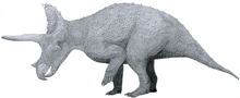 Triceratops by Tom Patker
