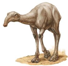 Eopie NEGAS