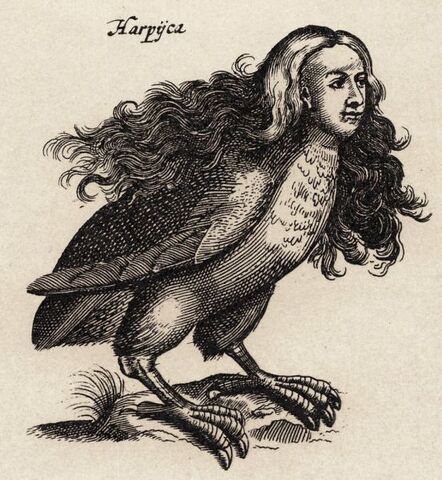 File:Harpy.jpg