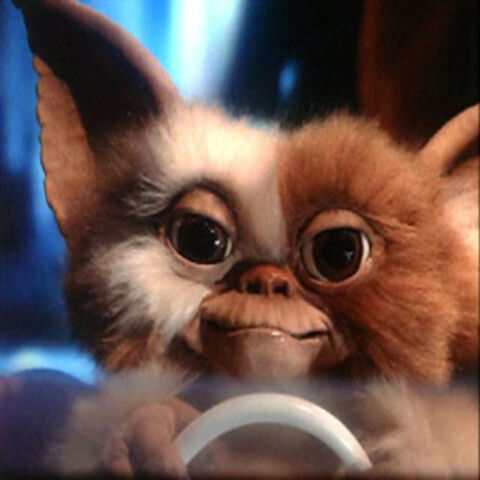 File:Gizmo Avatar.jpg