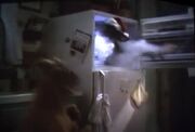 ALF VS. Gremlins