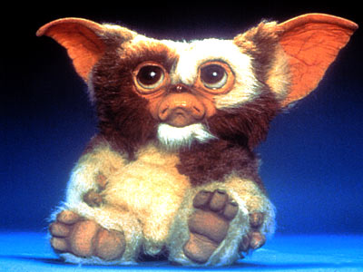 File:Gizmo l.jpg