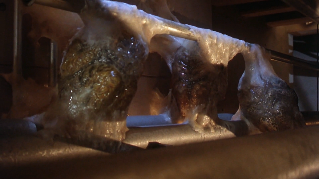 File:2472513 orig.png