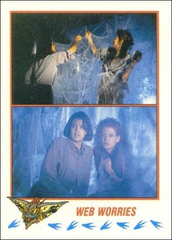 File:Topps Web Worries.jpg