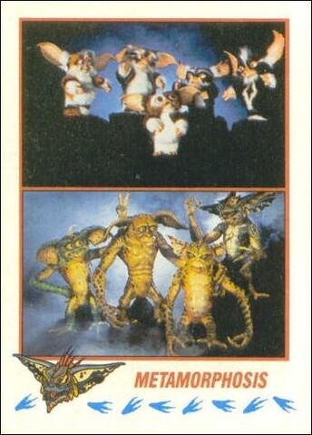 File:Topps Metamorphosis.jpg