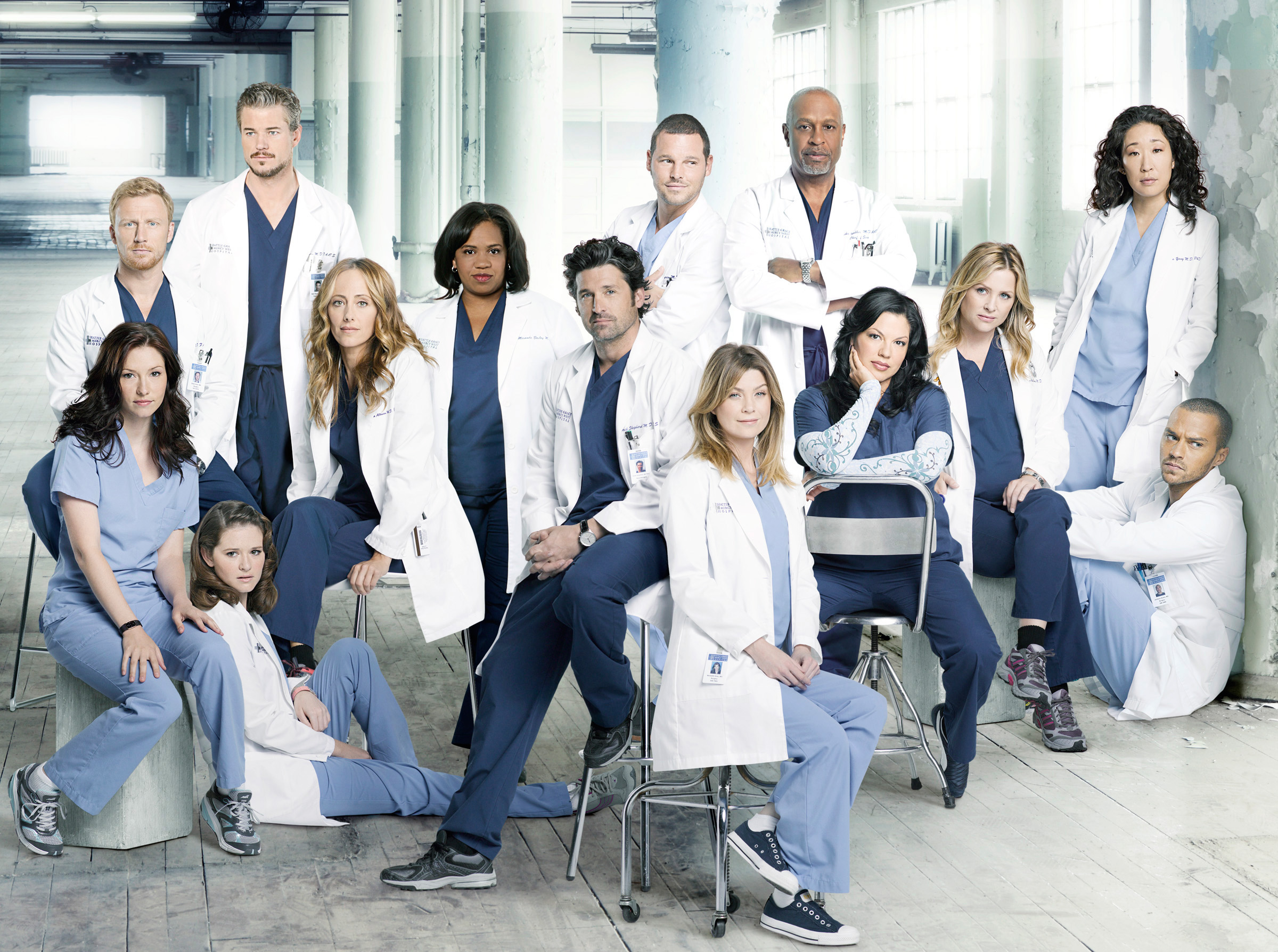 Image result for grey anatomy