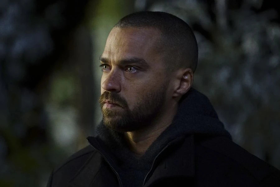 Jackson Avery Grey's Anatomy Universe Wiki FANDOM powered by Wikia