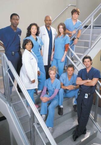 Datei:Greys cast.jpg