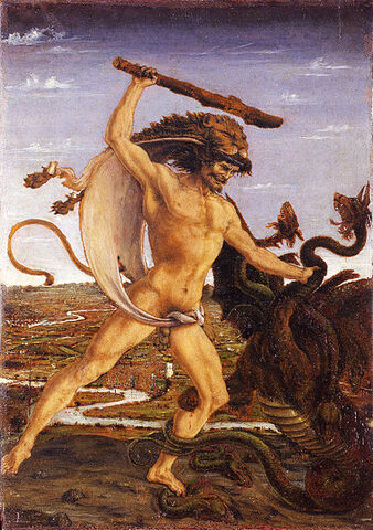 Datei:Hydra1.jpg