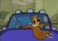 Yogi