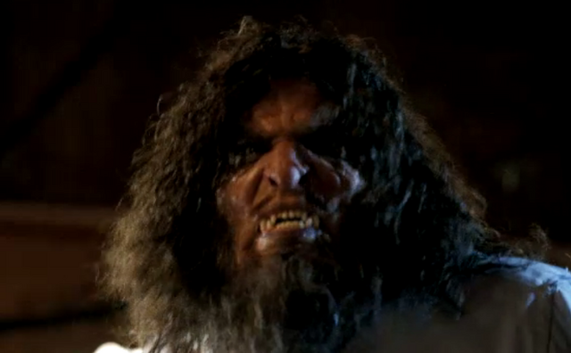 Datei:Wildermann.png