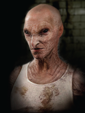 Archivo:Geier .png