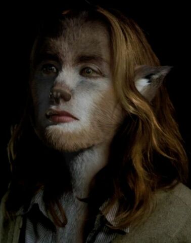 File:Fuchsbau1Cropped.jpg