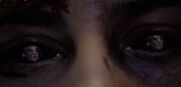 Eyes grimm-1.jpg