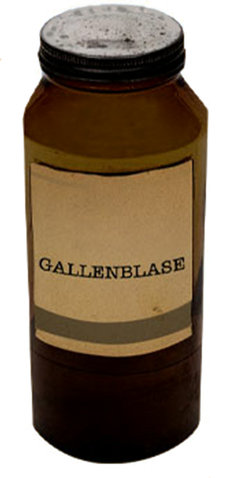 Archivo:Gallenblasetransparent.png