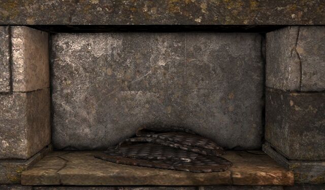 File:Scaled cloak ig.jpg