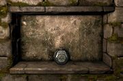 Poison bomb ig