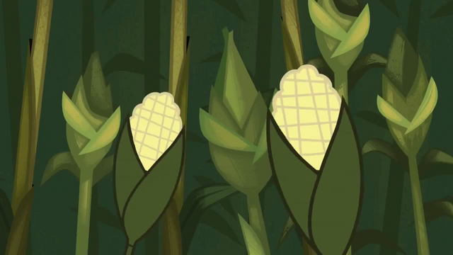 Archivo:Fff 38.png