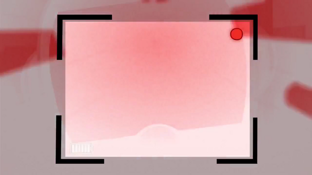 Archivo:Vvw 24.png