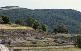 Roselle area archeologica 2