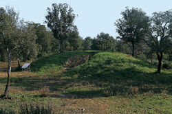 Scarlino Poggio Tondo.jpg