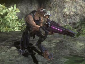 Cecchino Jackal.jpg