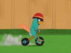 Plik:233px-Perry on a Bike.jpg
