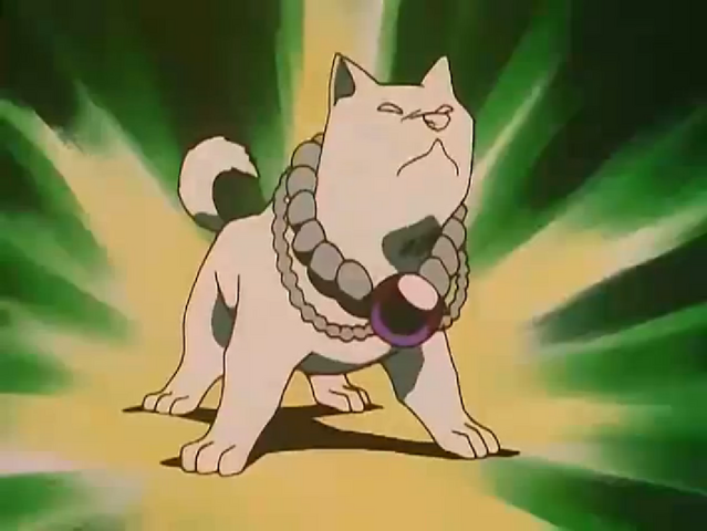 File:ShikigamiShotora.png