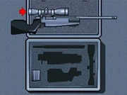 Karabin snajperski (CW).png