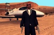 Image-four-jet-double-wield