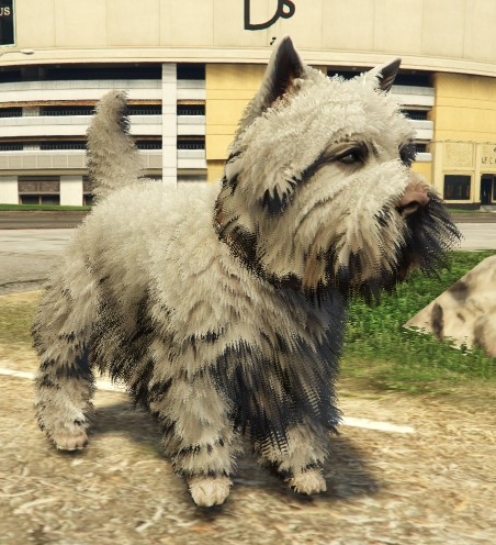 File:WestHighlandTerrier-GTAV.png