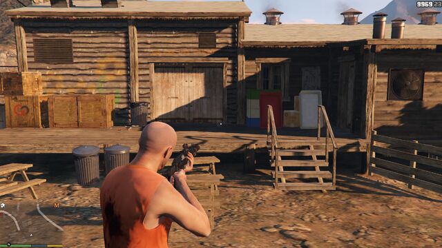 File:AltruistCamp-GTAV-Briefcase-1.jpg
