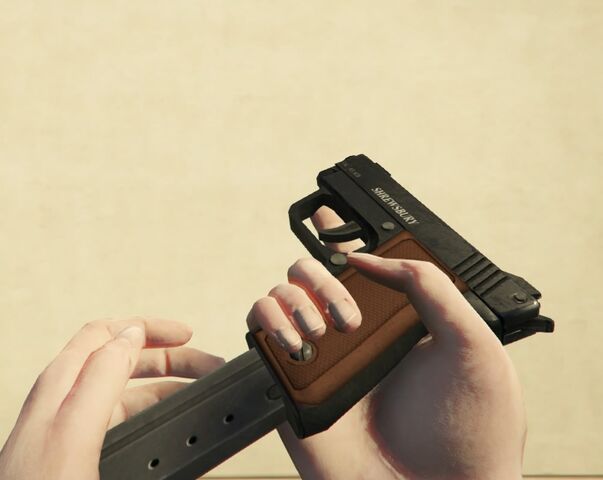 File:SNS Pistol GTAVe FPS Reload.jpg