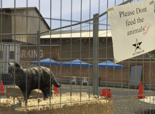 File:Director Mode Actors GTAVpc Animals Cat.png