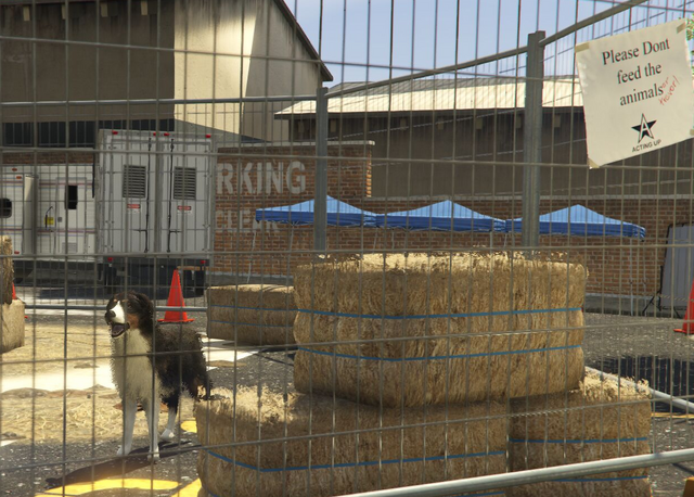 File:Director Mode Actors GTAVpc Animals Shepherd.png