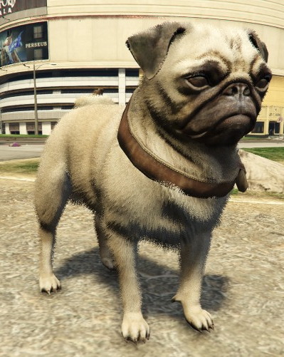 File:Pug-GTAV-PS4.png