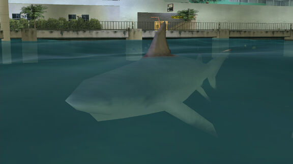 File:Shark-GTAVC.jpg