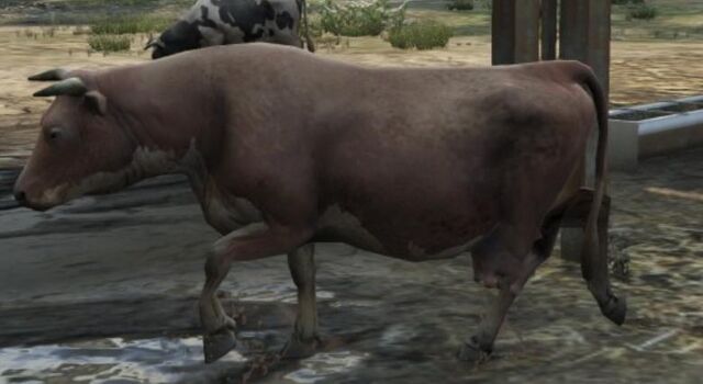 File:Cow-GTAV-brown.jpg