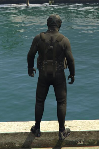 File:Scuba Suit GTAVpc Michael DirectorMode NoGear Rear.png