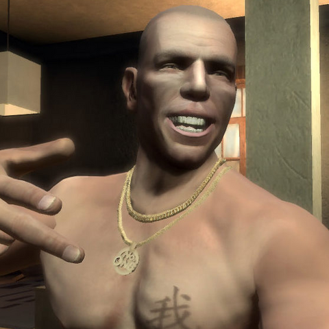File:Lifeinvader-GTAV-Niko-Brucie.png