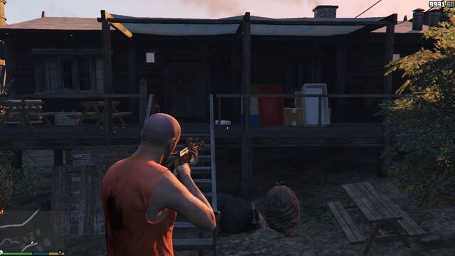 File:AltruistCamp-GTAV-Briefcase-2.jpg
