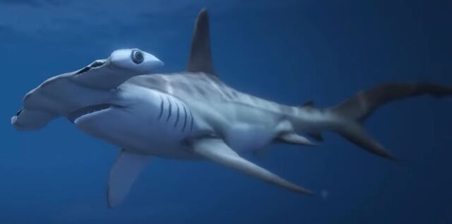 File:Hammerhead Sharks GTAVe.jpg
