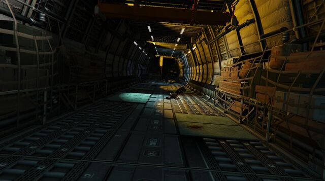 File:CargoPlane-GTAV-PS4-Cargobay.jpg