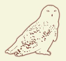 Snowy-sil